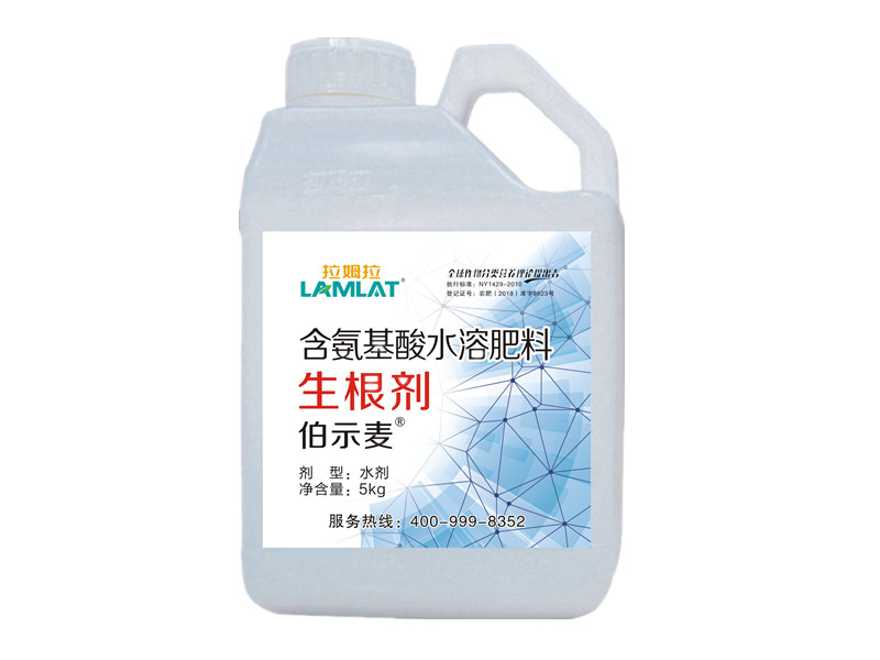 拉姆拉