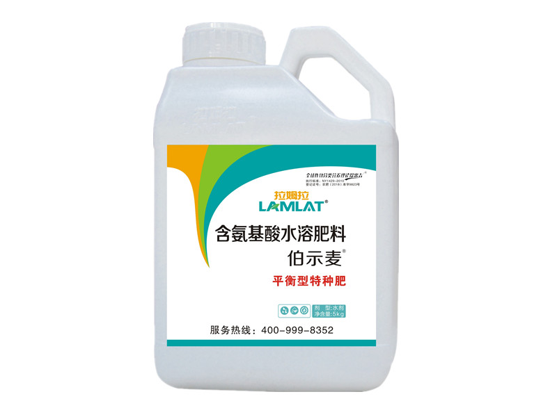拉姆拉