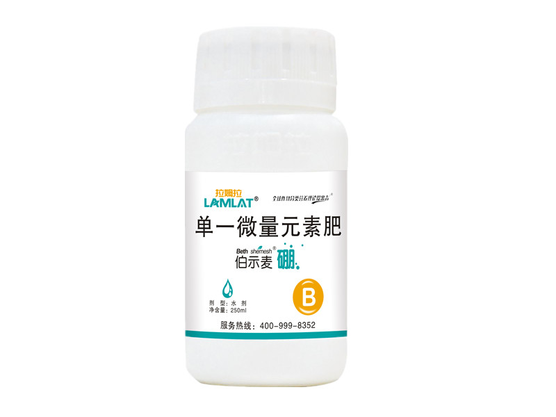 拉姆拉