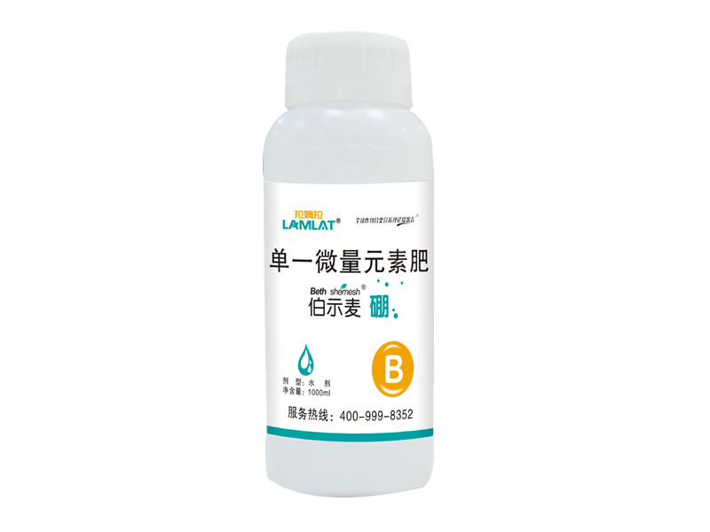 拉姆拉
